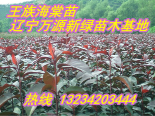 Ϲ磬123磬ƻ磬ƻƻ