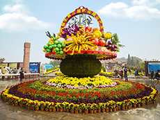 承接花篮,水果篮,五色草造型设计制作