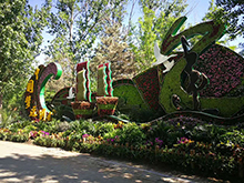 大运河船,植物绿雕,动植物造型设计制作