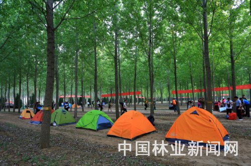 民权林场徒步穿越活动绿色成效 实现森林生态共享"环境就是民生,青山