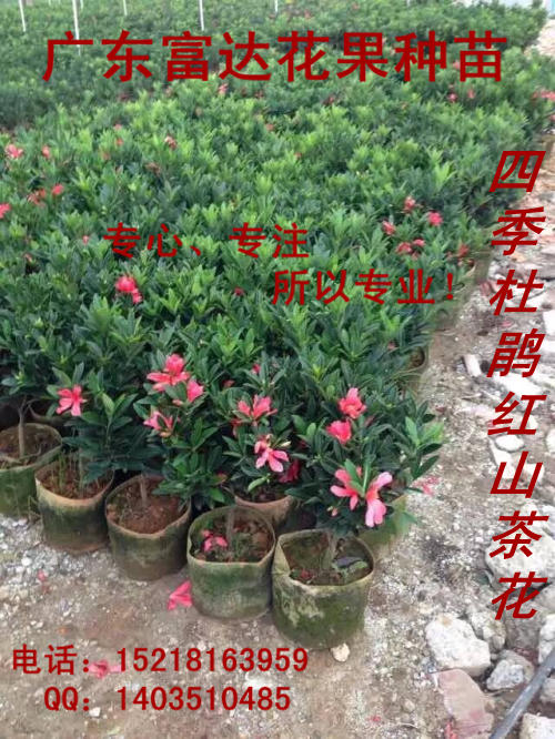 QQ图片20160914233337.jpg QQ图片20160914233337.jpg