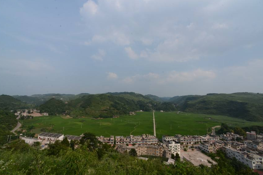 贵州2020年实现森林草地等领域生态保护补偿全覆盖