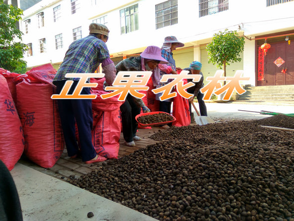 鍗冨勾妗? (4).jpg