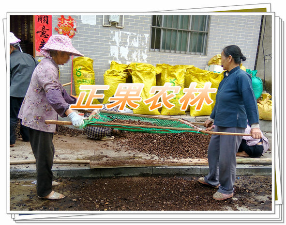 涓夊勾妗? (11).jpg