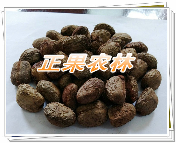 涓夊勾妗? (2).jpg