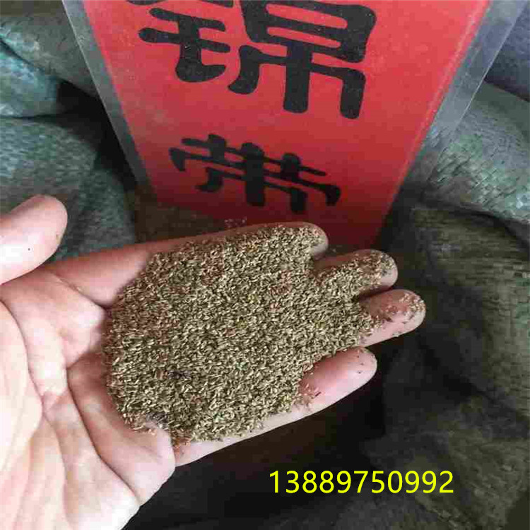 锦带有字右下角.jpg 锦带有字右下角.jpg