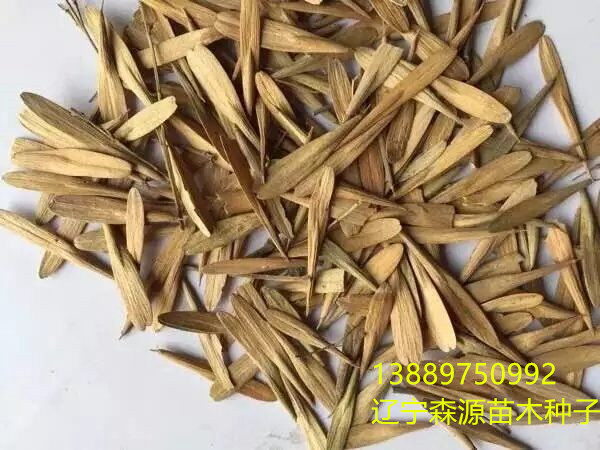 白腊右下角.jpg 白腊右下角.jpg
