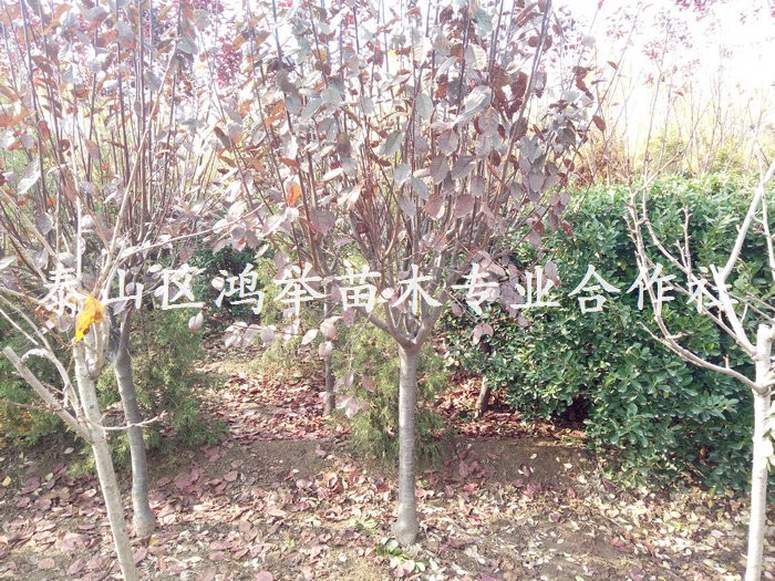 IMG20181116121141.jpg