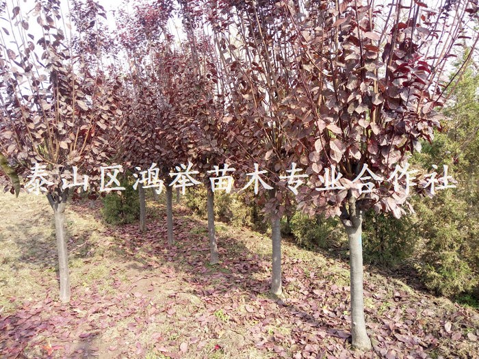 IMG20181116121522.jpg