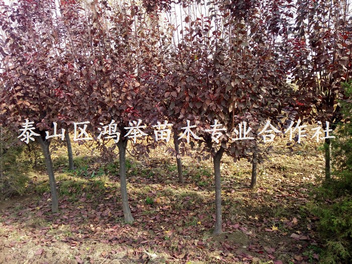 IMG20181116121509.jpg