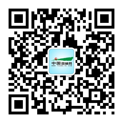 园林网微信公众号 园林网微信公众号