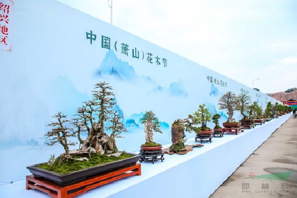 第二天2021中国萧山花木节开幕