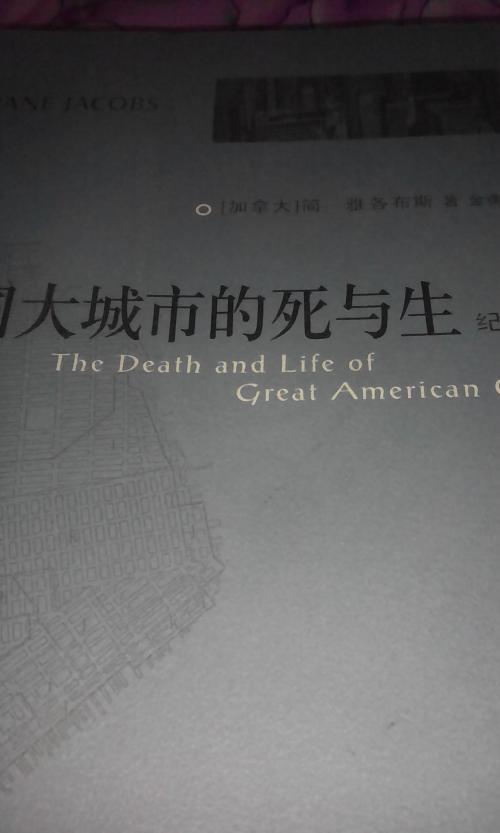 再读美国大城市的死与生