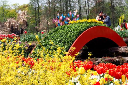 石家庄45万人植物园踏青赏花