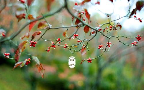 雨水(正月中)于每年2月19日前后太阳到达黄经330.时开始.