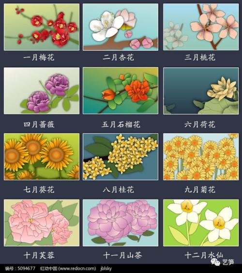 十二月花事完全手册(二)