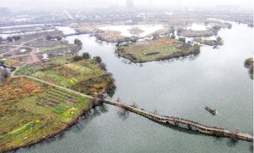 台州温岭市九龙湖生态湿地公园开建