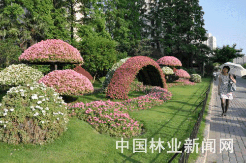 江苏:立体绿化装扮南京街头