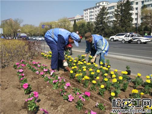 绿化到彩化 西宁的灿烂表情 栽植各类花卉近200万盆