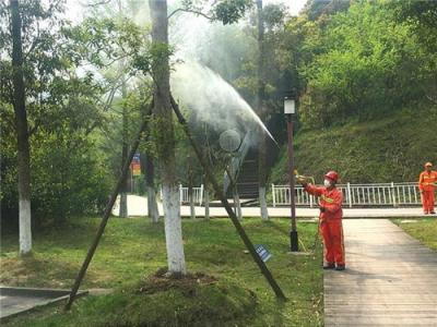 翔安大道示范路修容提色加强绿化造型提升和病虫害防治