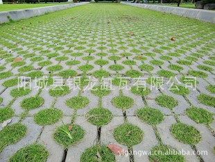 批发植草砖停车场草坪砖烧结陶土草坪砖彩砖植草砖