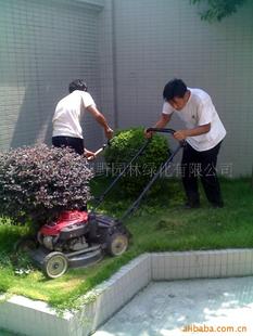 供应绿化修剪保养护理工程