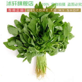 袋装蔬菜种子绿叶苋菜种子青香苋种子香菜菜种籽大包装100粒