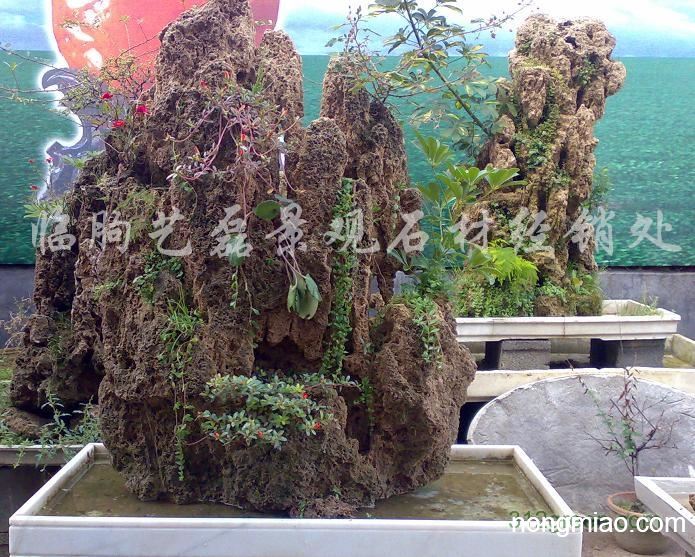 供应吸水石盆景